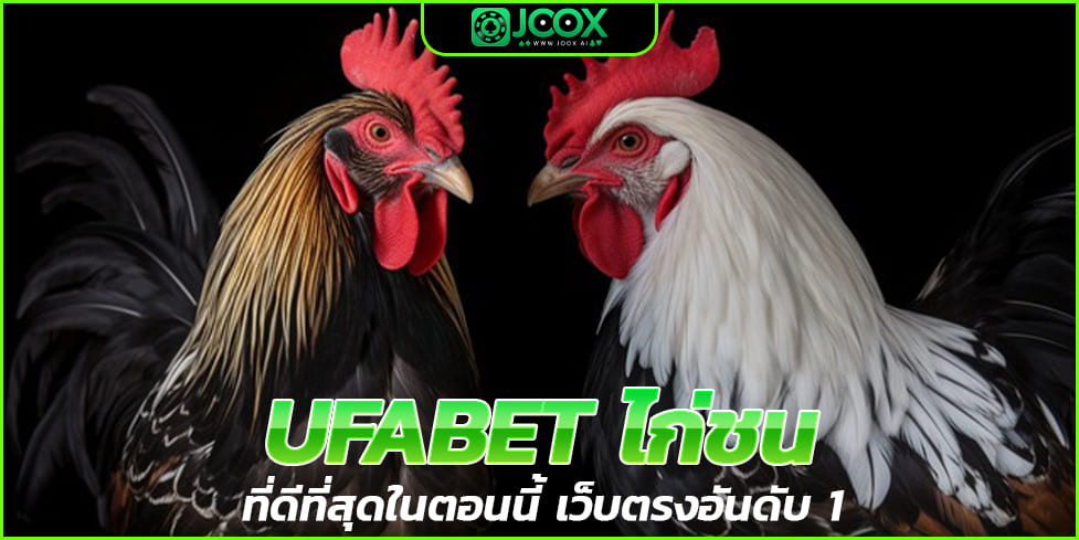 UFABET ไก่ชน